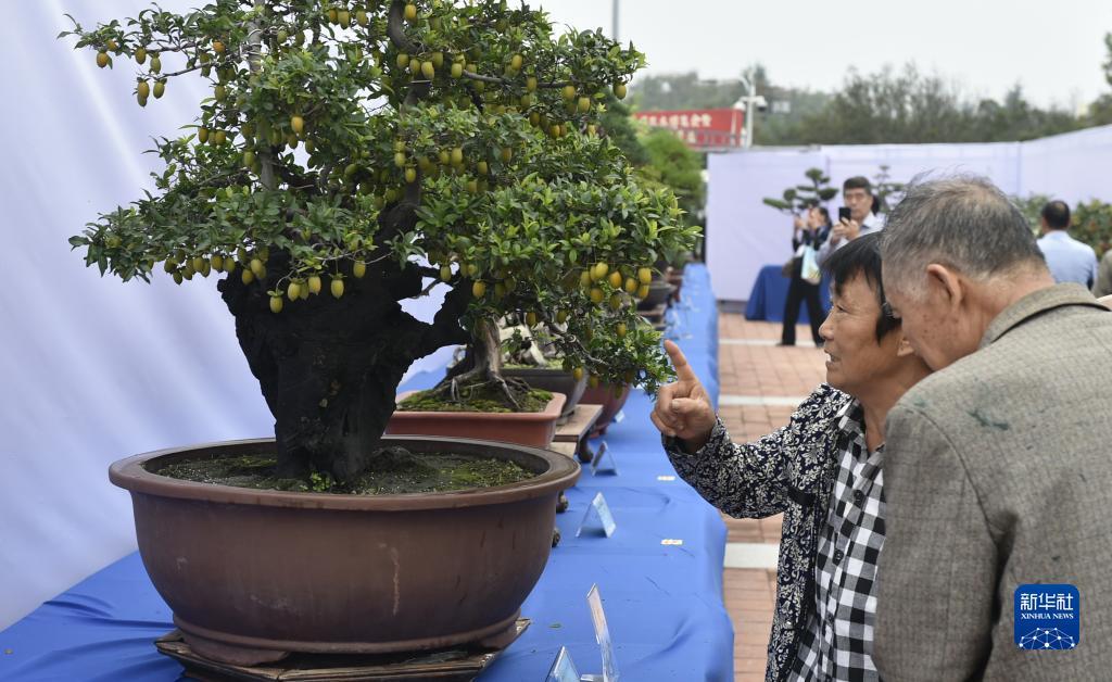 乐游网962官方下载